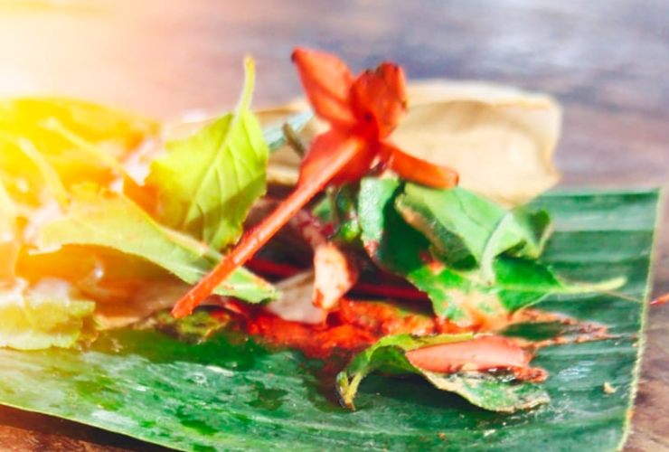 Sree Panorkavu Kandathar Kavu - Saraswtham 